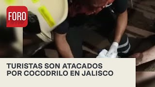 Cocodrilo ataca turistas en playa Bocanegra, en Puerto Vallarta - Las Noticias