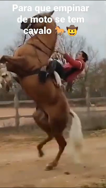 para que empinar de moto se tem cavalo 😅