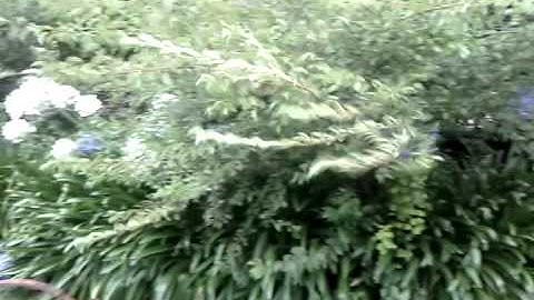 hovercraft first engine test