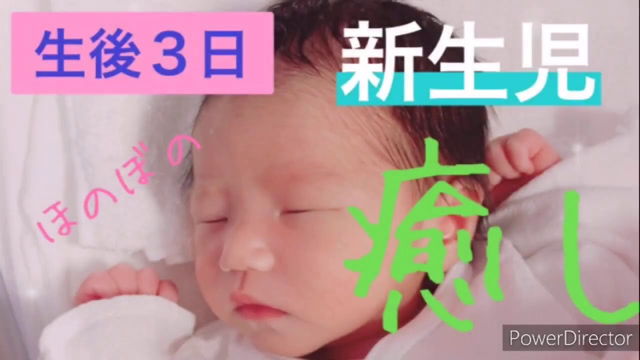 生後３日 癒し効果絶大 生後３日の新生児 Hd Youtube