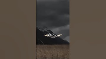 تلاوة خاشعة #قرآن #اكسبلور #trendingvideo #دويتو #tanding #حالات_واتس #fypp #لايك #راحة_نفسية