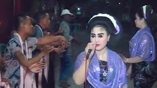 Tayub Tuban Mlangi 2023 . Ninggal Katresnan - Mangku PureL .