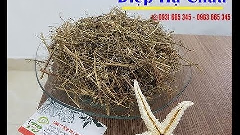 Đánh giá thuốc diệp hạ châu