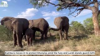 Fishan's Most Loved Moments | A Lifetime of Strength, Joy & Family 🐘💚