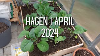 Hagen i april | 2024