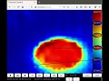 Thermal Camera Streamer - roasted duck (example)