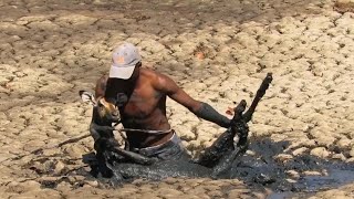 DEER Stuck in MUD Heartwarming RESCUE Story!