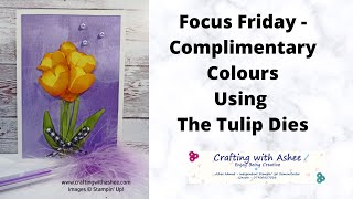 Focus Friday - Using Complimentary Colours