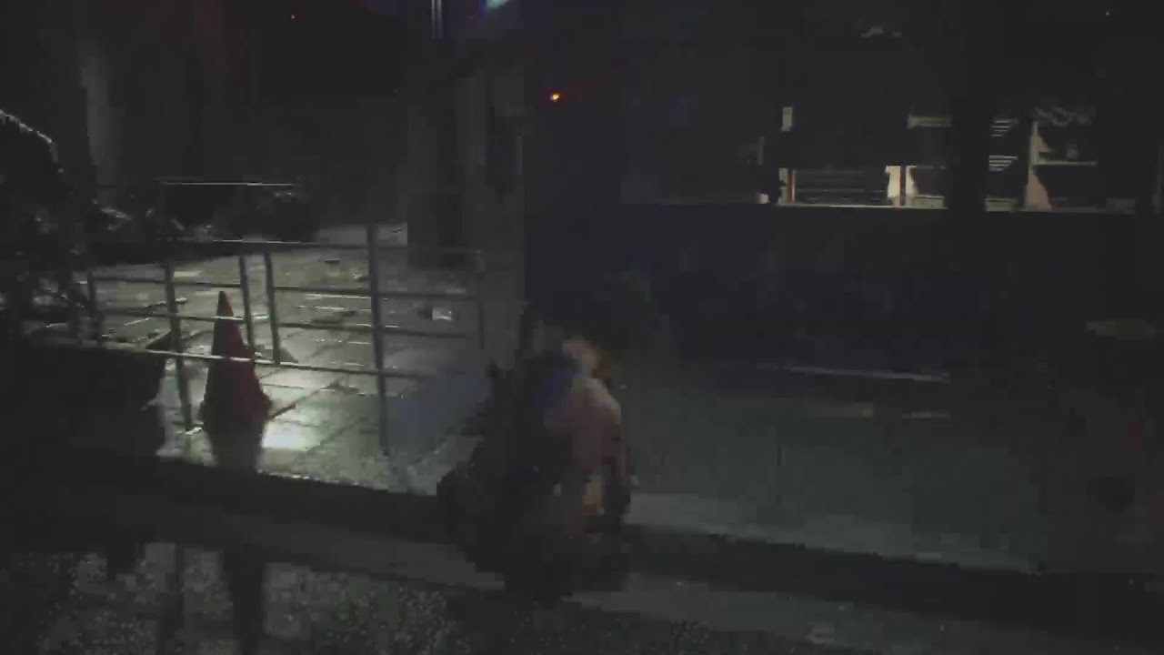 Resident Evil 3 w/ Dreadsperado