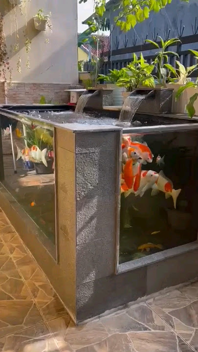 kolam koi minimalis portable.Info detail wa MasNur 082145196250 #kolamkoi#nurkolam#kolamikanportable