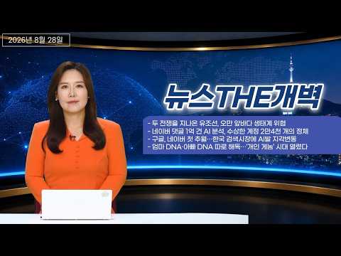 구글이 네이버를 처음 넘었다…AI가 뒤집은 한국 검색시장 [뉴스THE개벽]