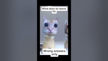 What does LOL stand for? Wrong answers only 😂 #cat #funny #elgato