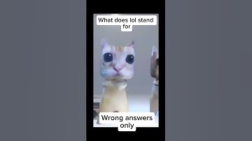 What does LOL stand for? Wrong answers only 😂 #cat #funny #elgato