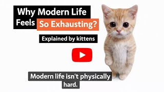 Why Modern Life Feels So Exhausting (Explained by Kittens)