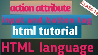 Action In Form Tag Htmlhtml Action Attributeaction Attributeweb Developmentinputbutton In Html