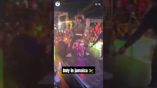 Only In Jamaica 🇯🇲 Amogirls Shorts