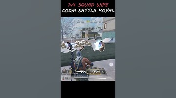 1v4 Squad Wipe in CODM BR! AK117 *_*