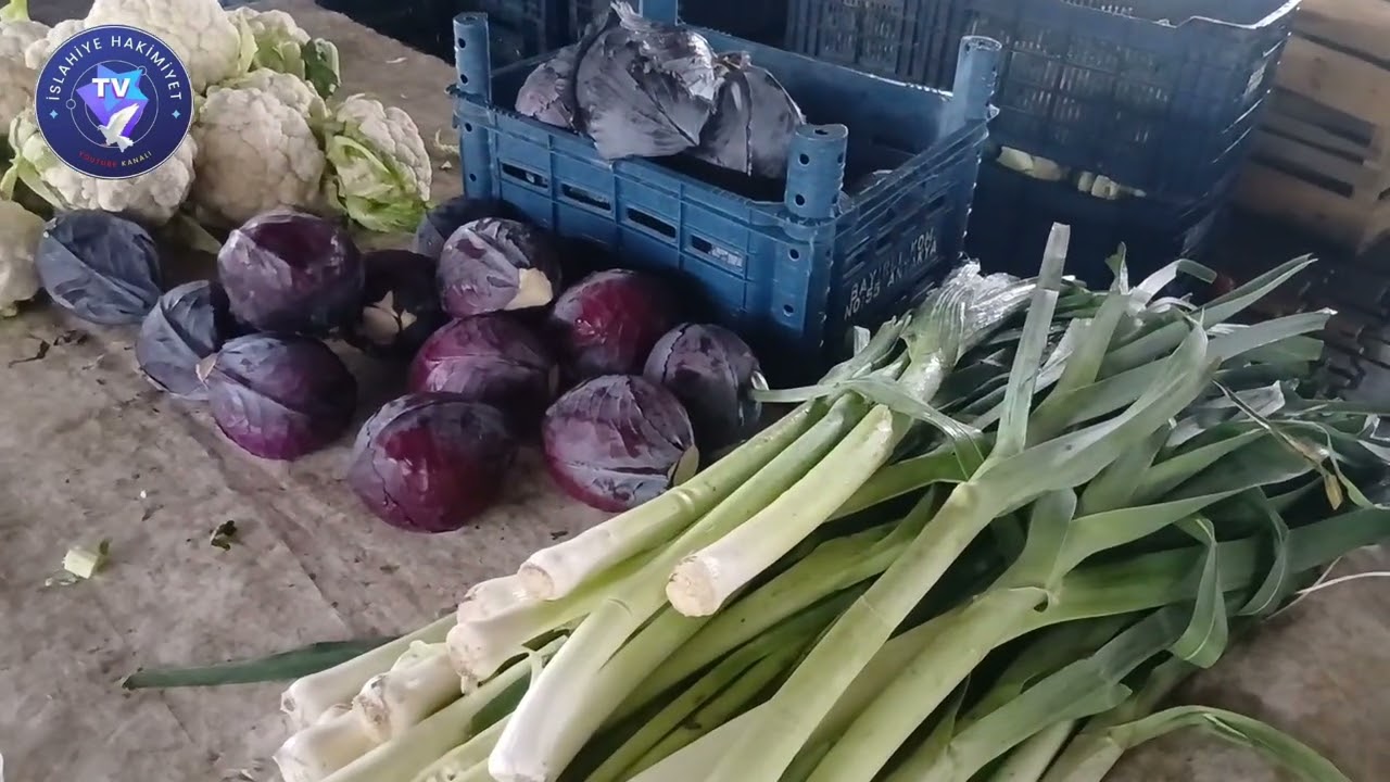 ŞUBAT AYI FİYAT ARAŞTIRMASI 2026