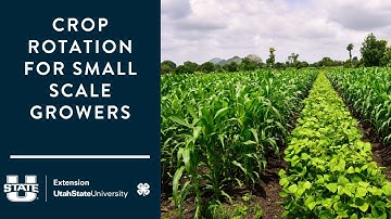 Crop Rotation for Small Scale Growers