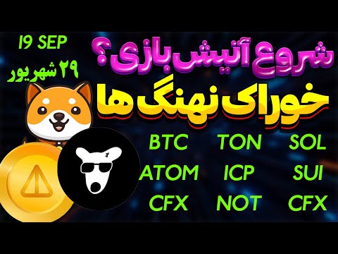 فوری شروع آتیش بازی یا ریزش خوراک نهنگ ها تحلیل نات کوین