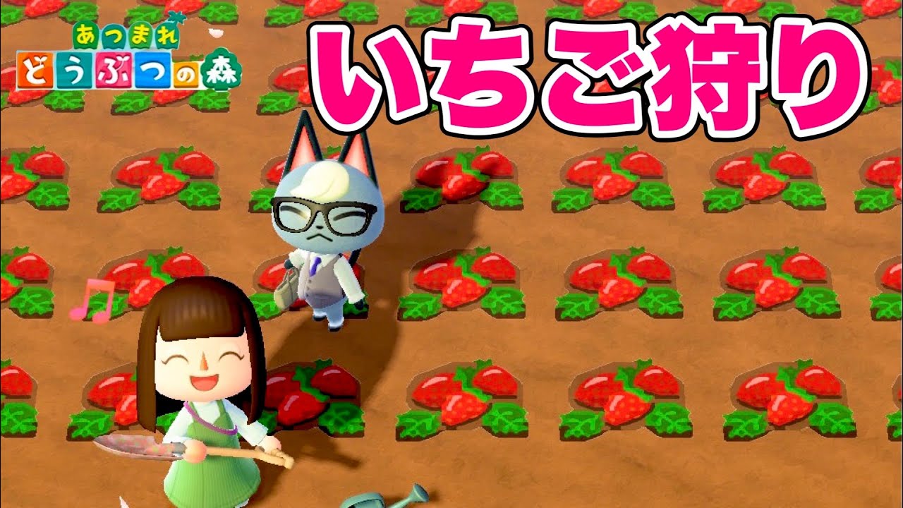 あつ森】いちご狩りしちゃおう！！！【あつまれどうぶつの森】 - YouTube