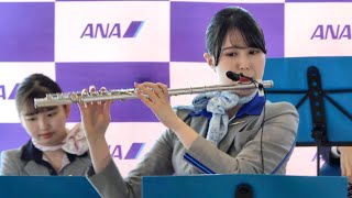 ANA Team HND Orchestra 「優しいあの子 / スピッツ 」富士山静岡空港