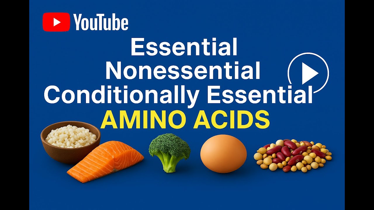 Essential, Nonessential and Conditionally Essential Amino acids: Types and  Definition