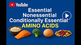 Essential, Nonessential And Conditionally Essential Amino Acids Types And Definition