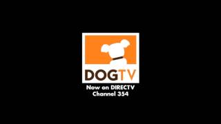 DOGTV - Jon Mohr