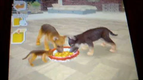 My Nintendogs had a puppy! READ DESCRIPTION