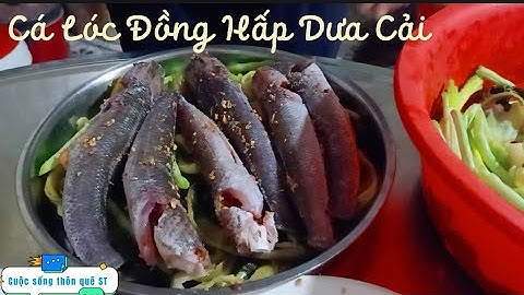 Món ăn gần gũi của người nông thôn.Cá lóc đồng hấp dưa cải chua|CSTQST