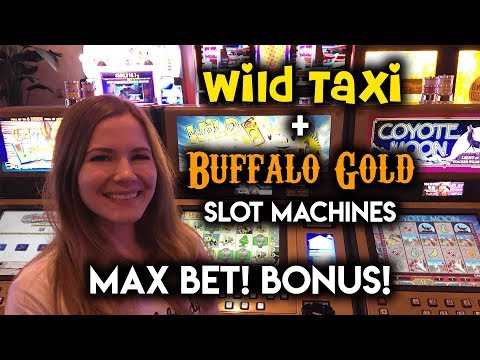 WILD Taxi Slot Machine Max Bet! Buffalo Gold BONUS!