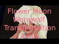 Flower moon bettys first werewolf transformation