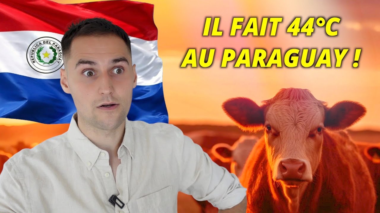 Mon ressenti sur la chaleur “épouvantable” du Paraguay…