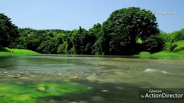 قراءة برواية ورش ﻷول مرة للقارئ الشيخ محمد رعد الكردي