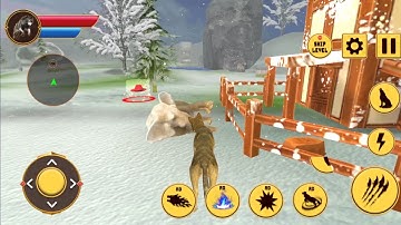 Jungle Fun Wolf Simulator Games 3D|| Android Gameplay