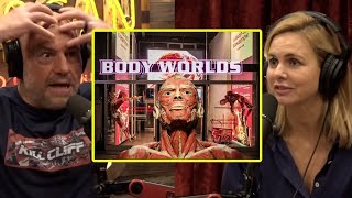 Body Worlds Exhibit Is Using Real Dead Bodies | Joe Rogan & Mariana Van Zeller