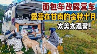 Modified Camper Van, Self-driving in The Golden Autumn of Gannan, Camping with Dogs Is So Warm!