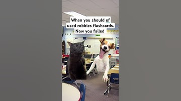 shoulda used the flashcards https://www.brainscape.com/p/4VO2U-LH-D65YV #learnenglish #funny #trend