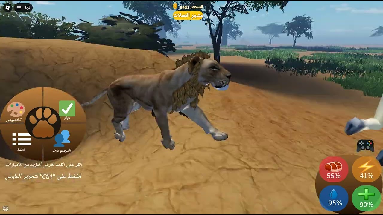 ١٩ يناير ٢٠٢٦