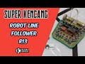 Robot Line follower Analog R13