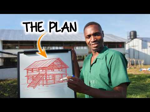 I'm Building My Best and Biggest Chicken House Yet - Here's Why
