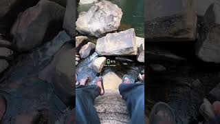 Green therapy , Free of cost 🍃👣💚 #travel #nature #viral #fyp