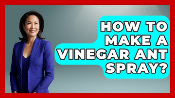 How To Make A Vinegar Ant Spray? - Insects and Invaders