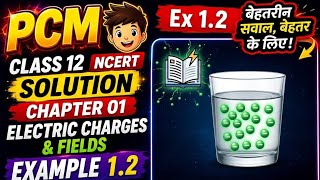 Class 12 Physics NCERT Example 1.2!| Chapter 1 Electric Charges and Fields | Physics in Hindi