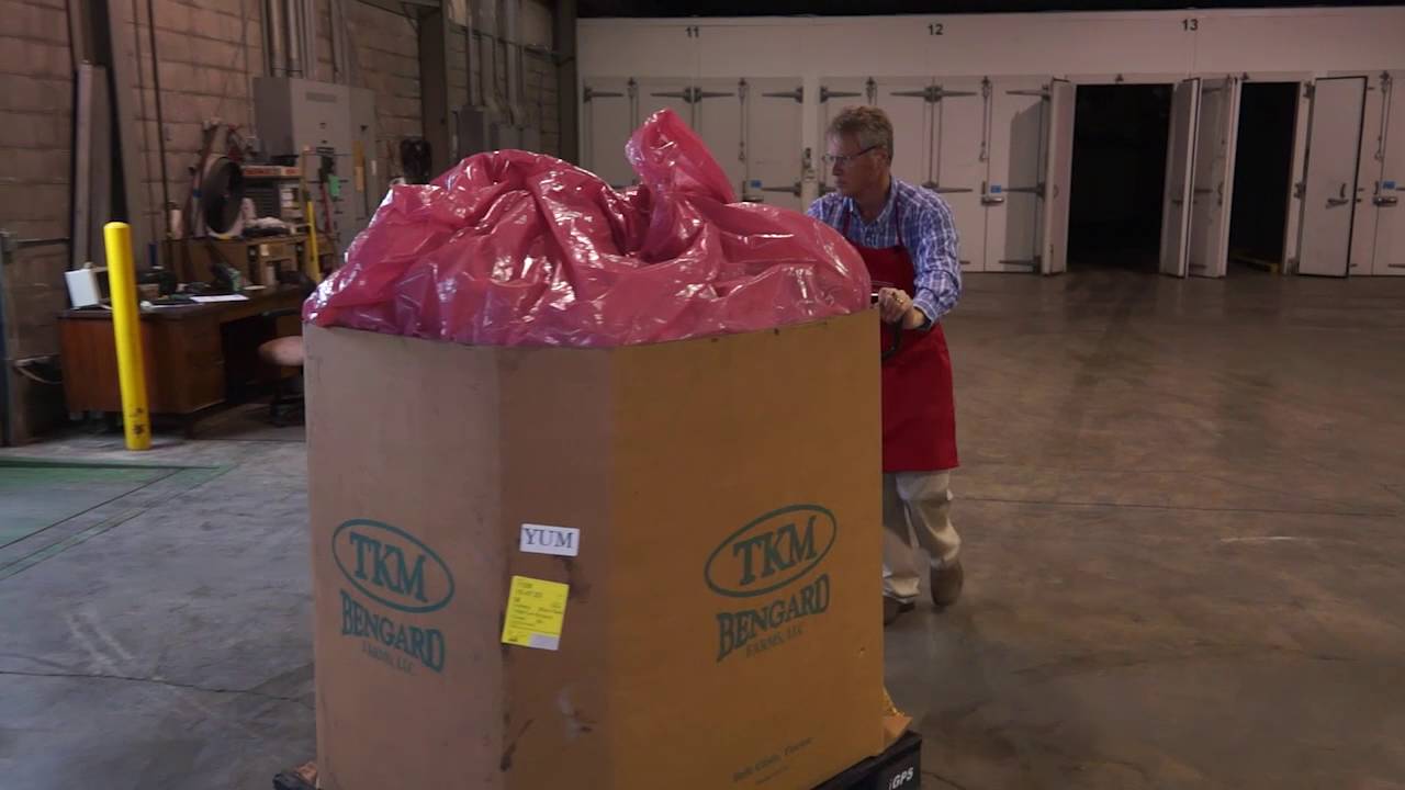 Fresh Food Distribution