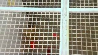 Super Max Prison   Drugs Prison Documentary