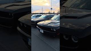 Plzeň sraz Project220