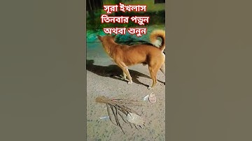 সূরা ইখলাস তিনবার পড়ুন অথবা শুনুন #egzonibrahimi #سورة_الإخلاص #ikhlas