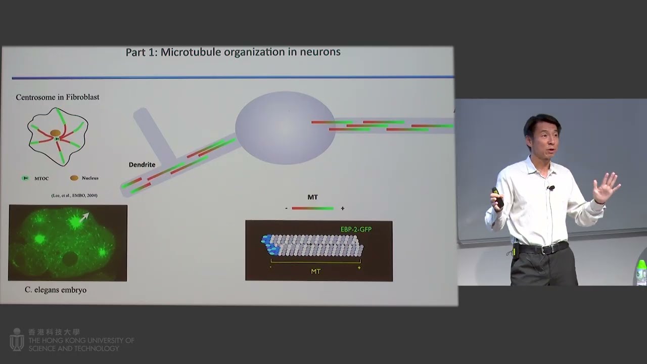 IAS Distinguished Lecture: Prof. SHEN Kang (Aug 21, 2025)